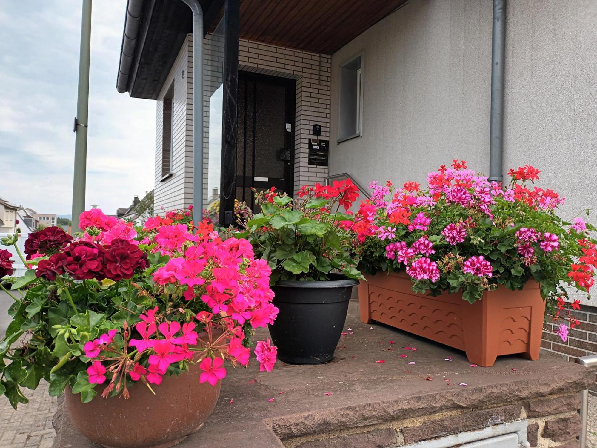 Ferienwohnung Kassel - 2 Exterior foto